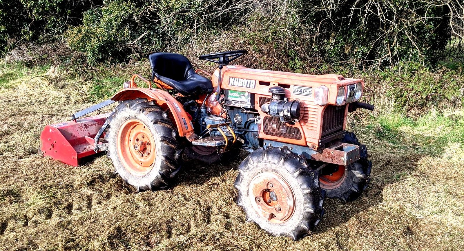 Kubota B6000